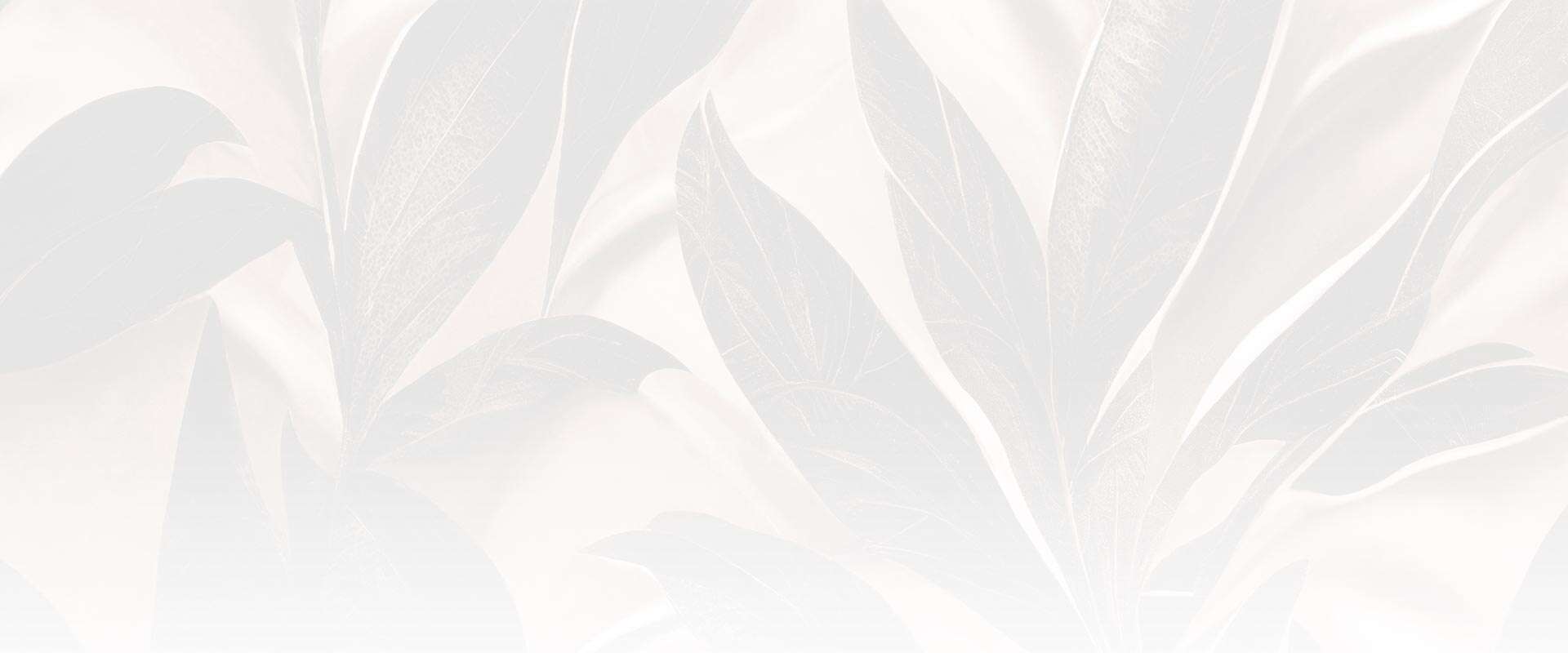 Start Your Journey With a Top-Rated Sunset Hills Med Spa Serving Las Vegas, Henderson NV